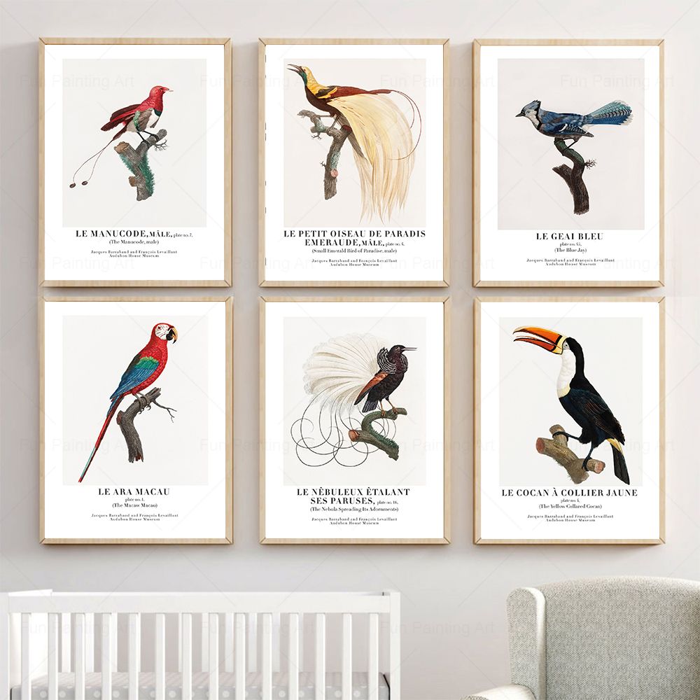 Vintage Paradise Bird Wall Art - Furniture Paradise & Hardware Ghaziabad Photos 评论和价格