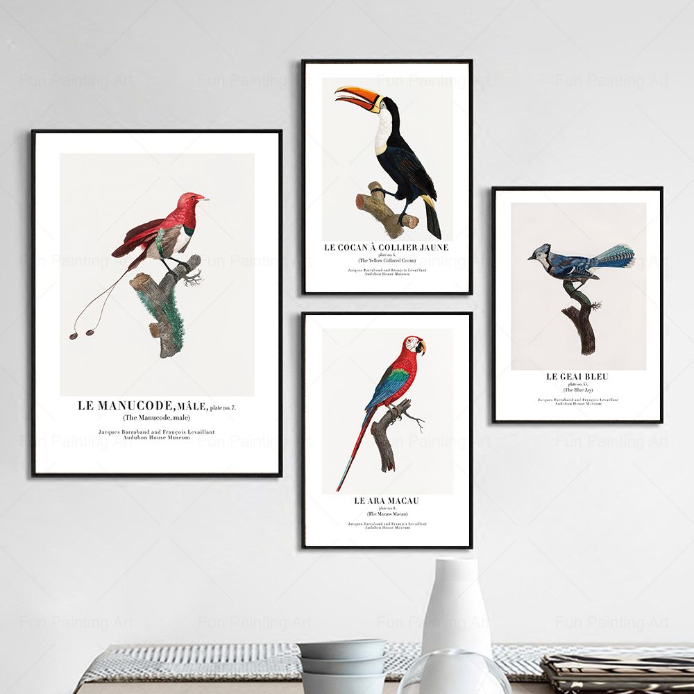 Vintage Paradise Bird Wall Art - Furniture Paradise & Hardware Ghaziabad Photos 评论和价格