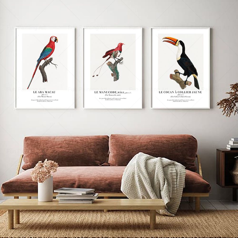 Vintage Paradise Bird Wall Art - Furniture Paradise & Hardware Ghaziabad Photos 评论和价格