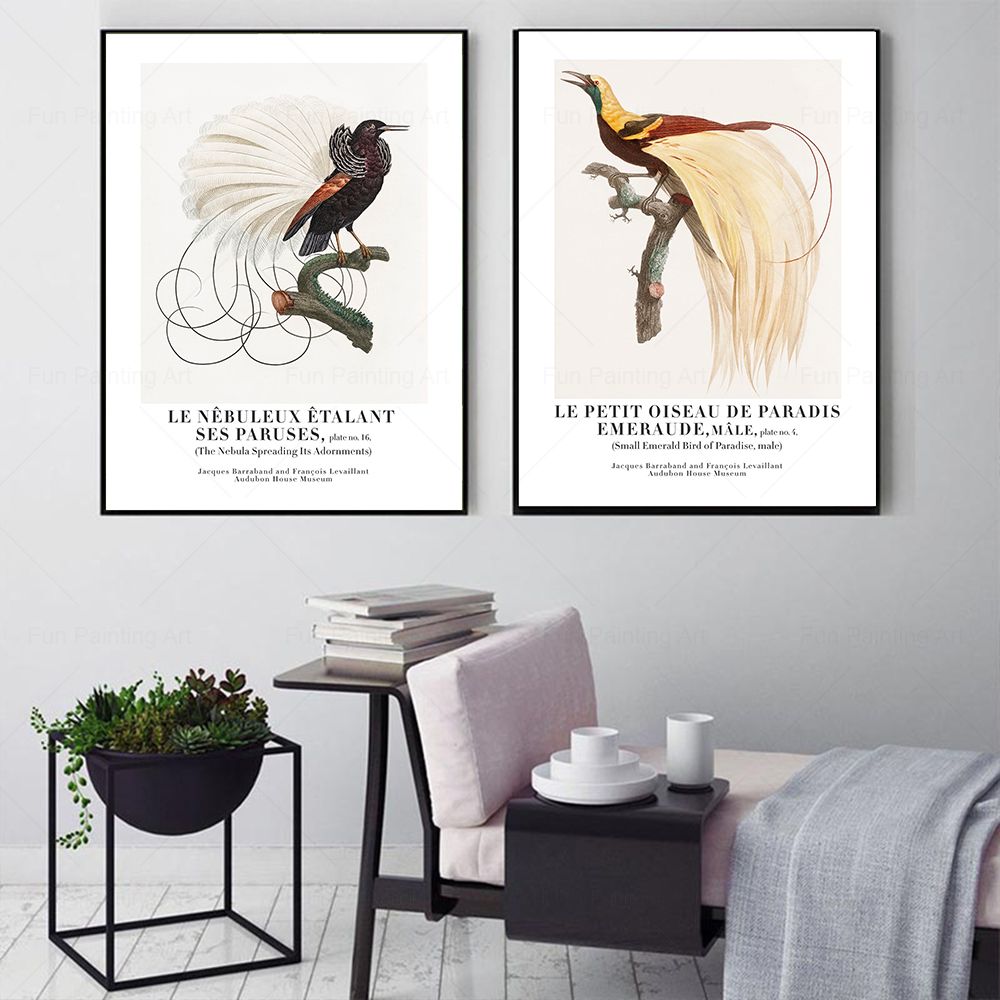 Vintage Paradise Bird Wall Art - Furniture Paradise & Hardware Ghaziabad Photos 评论和价格