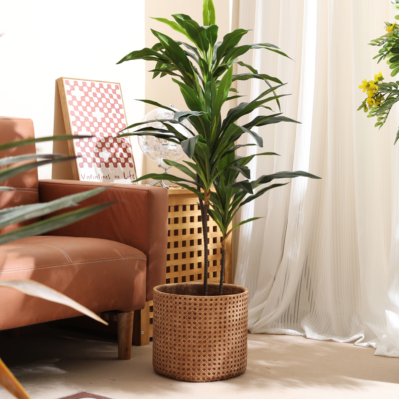 Furniture for small-sized apar - Furniture Paradise & Hardware Ghaziabad Photos 评论和价格